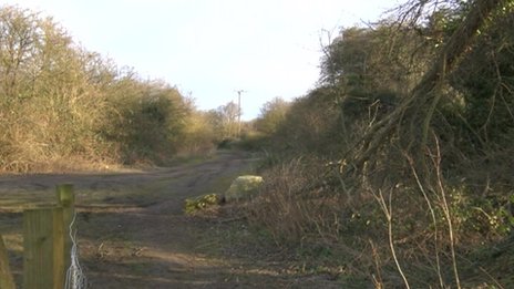 Woman Faces Devastating Injuries from Dog Attack in Lincoln