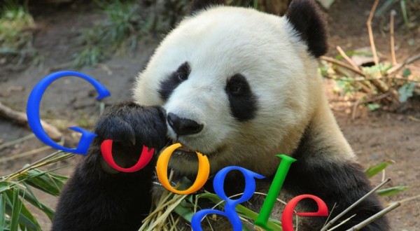 Google Currently Working on Softer Panda Algorithm