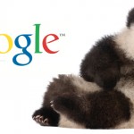 Softer Side Of The Panda 4.0