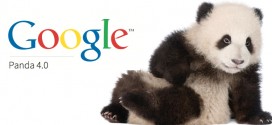 Softer Side Of The Panda 4.0
