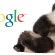 Softer Side Of The Panda 4.0