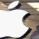 Apple Launches Cheaper And Smaller New iPhone